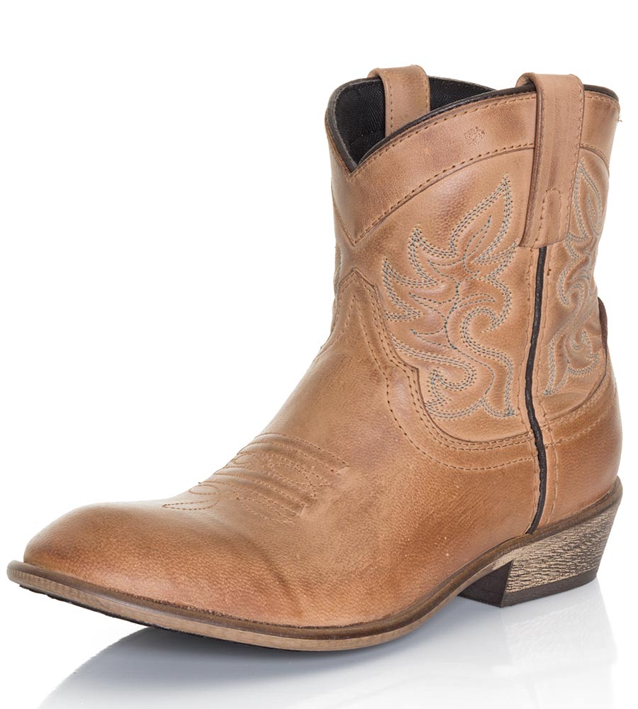 image shows a cowboy boot