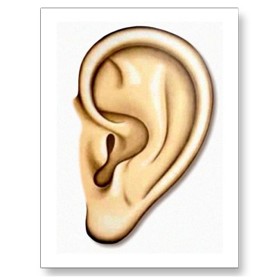 ear415