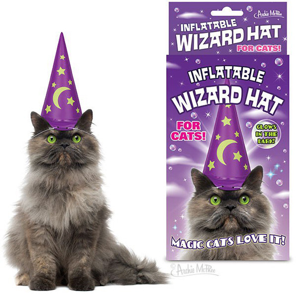 cat-wizard