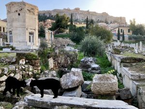 image shows Athens, Greece