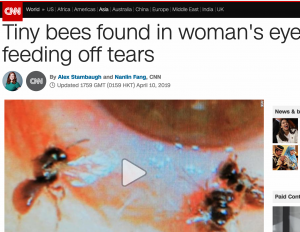 image shows article about lady with bees in her eyes