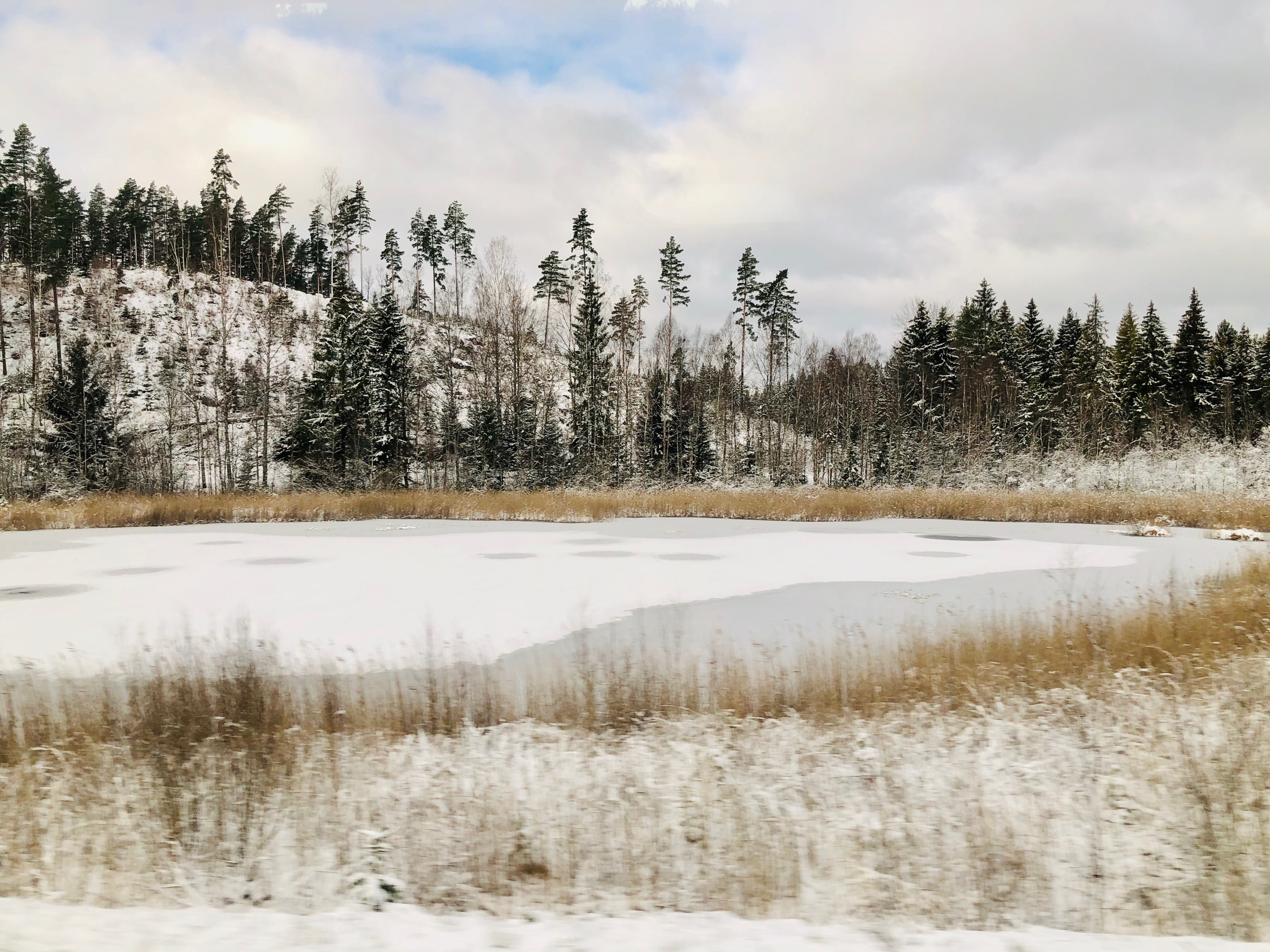 Swedish landscape through train window