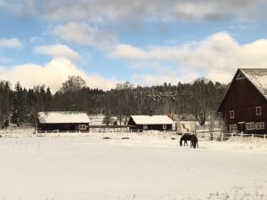 image shows Swedish landscape in Snow