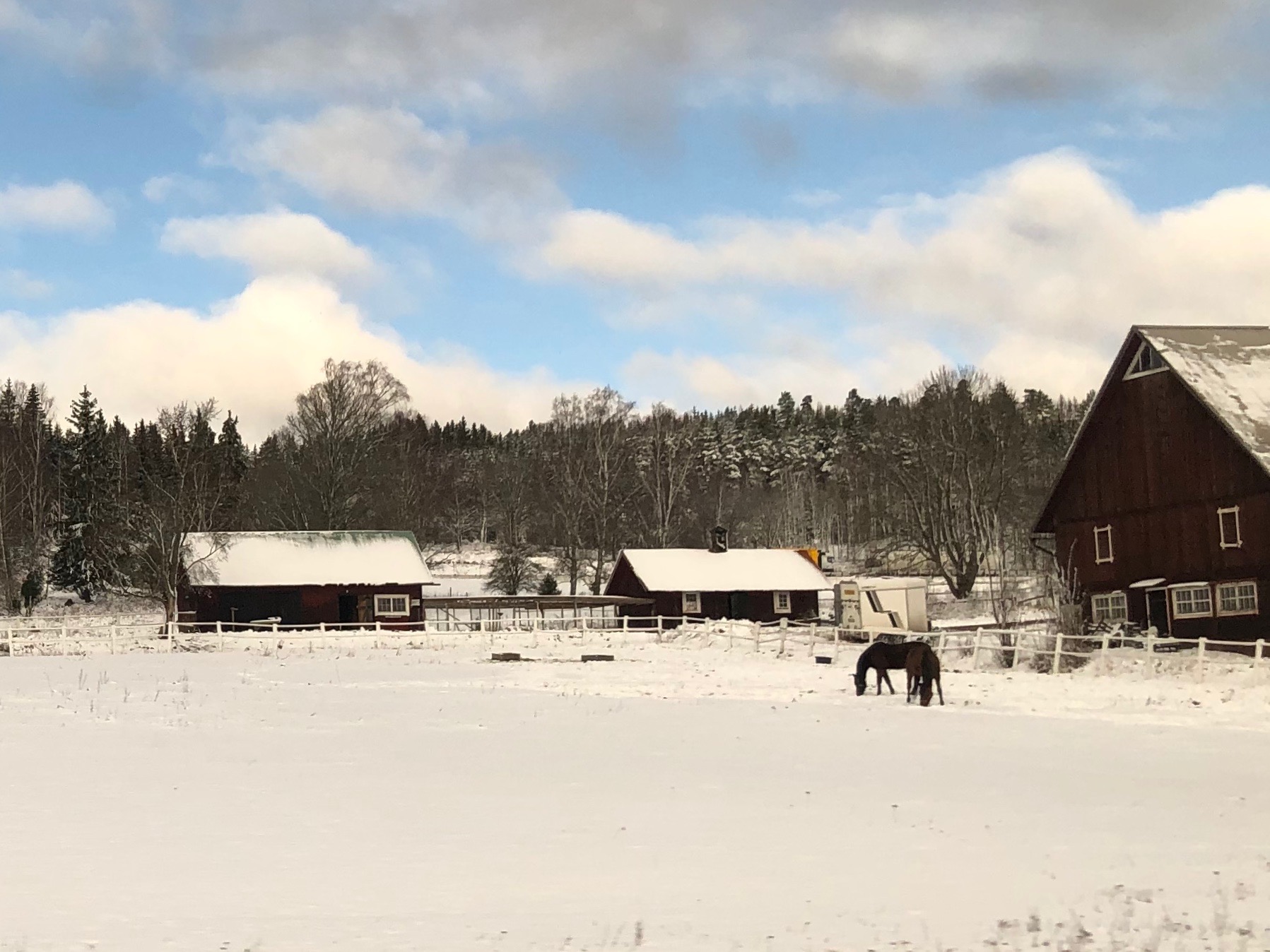 Swedish landscape through train window