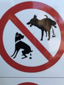 image shows sign illustrating no dog poop