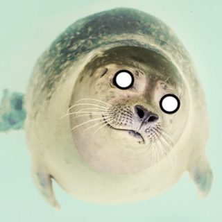 image shows a spooky seal