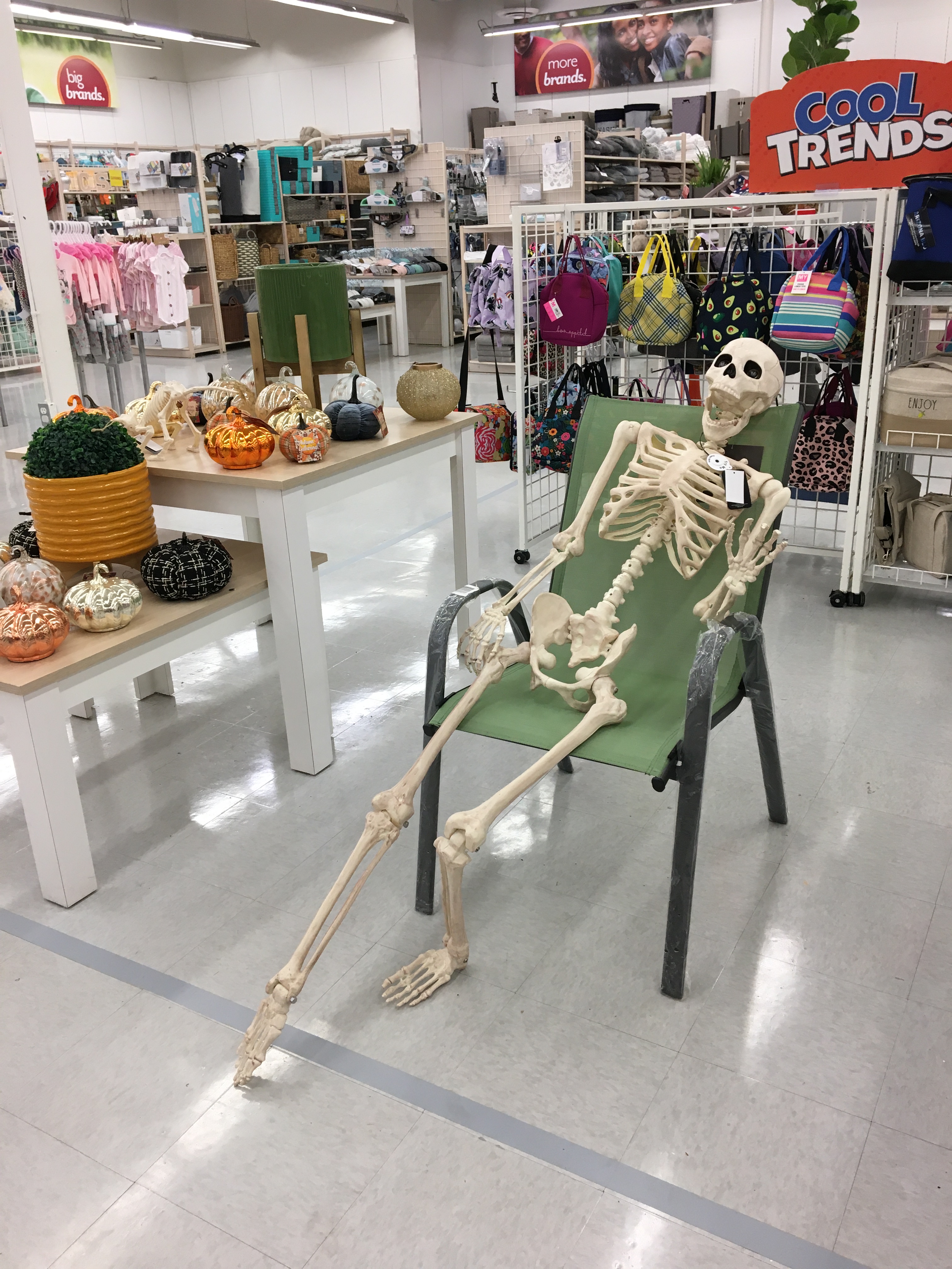 Skeleton sitting in back to school section of store.