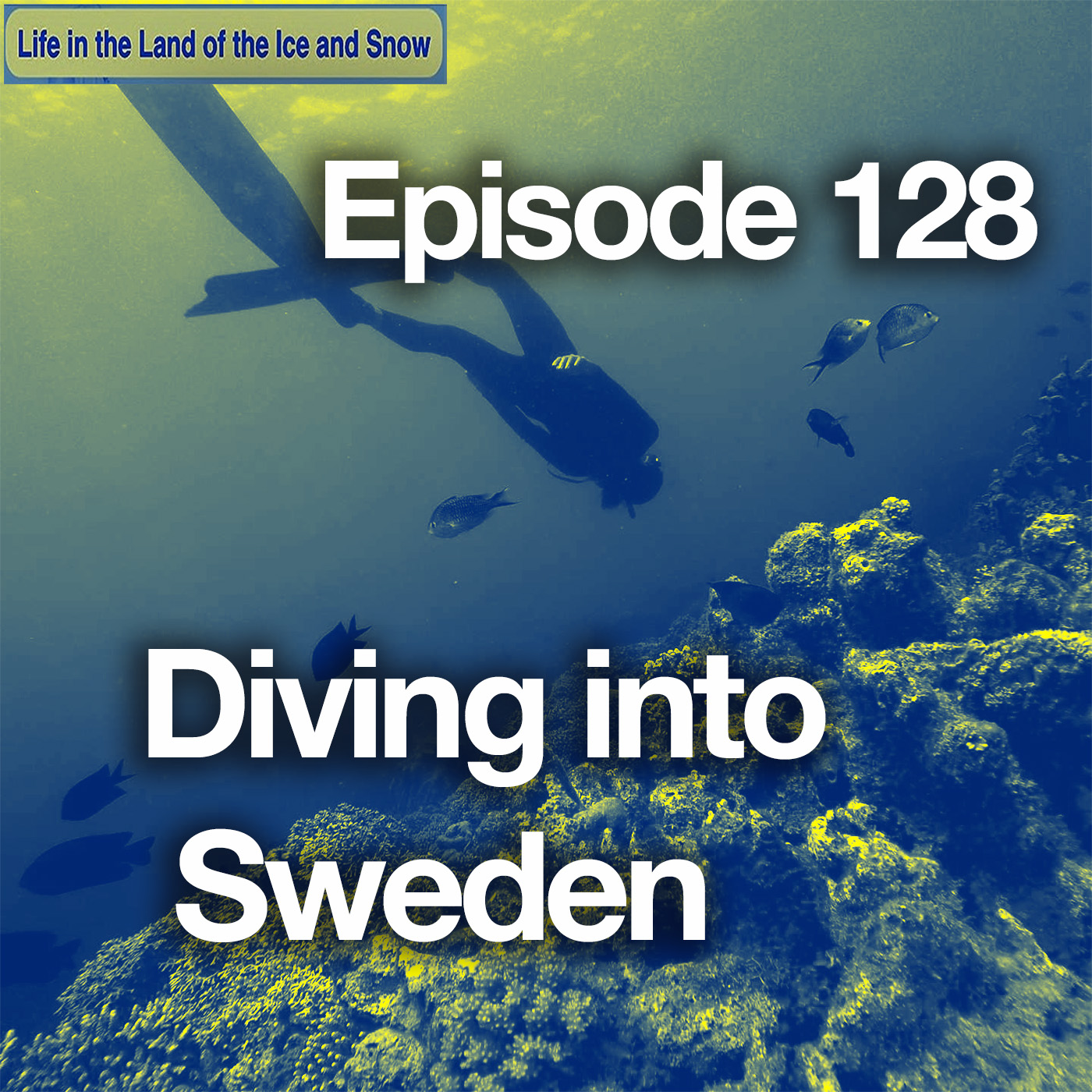 #128 Diving into Sweden