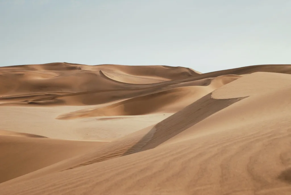 image shows a desert, the opposite of Swedish winter