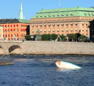 image shows a sculpture of a fish in the water