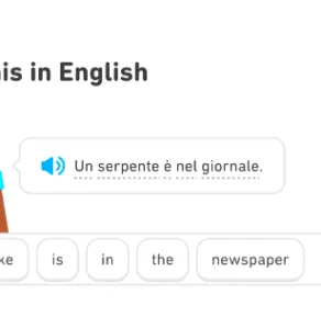 image shows page from duolingo explaining there is a snake in the newspaper in italian