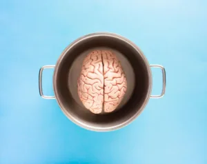 image shows brain in a pot