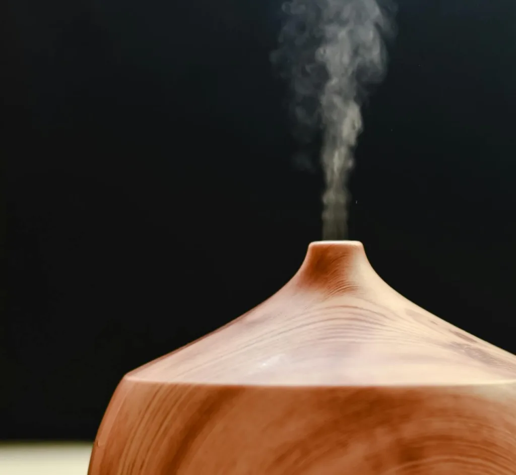 image shows a humidifier