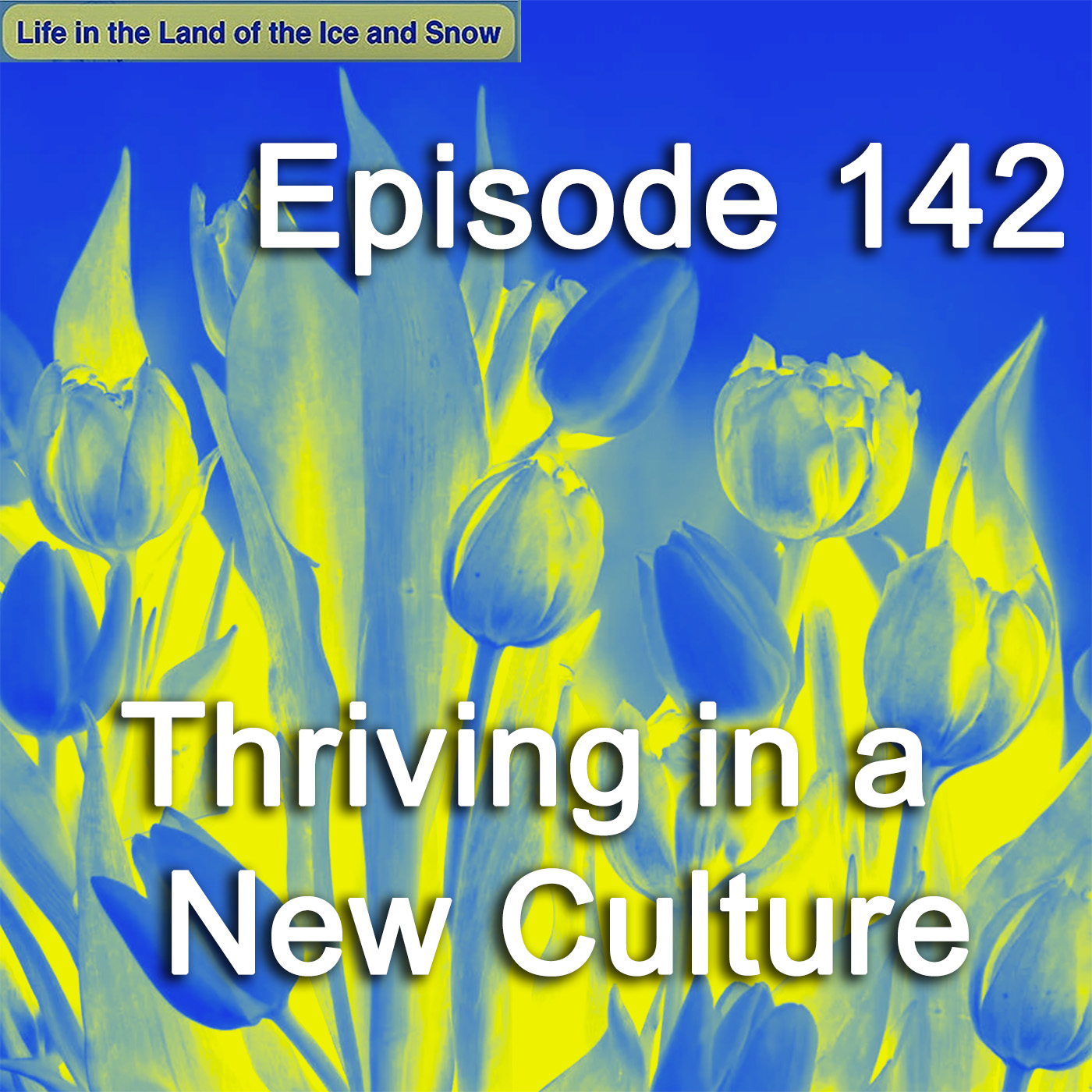 #142 Thriving in a New Culture